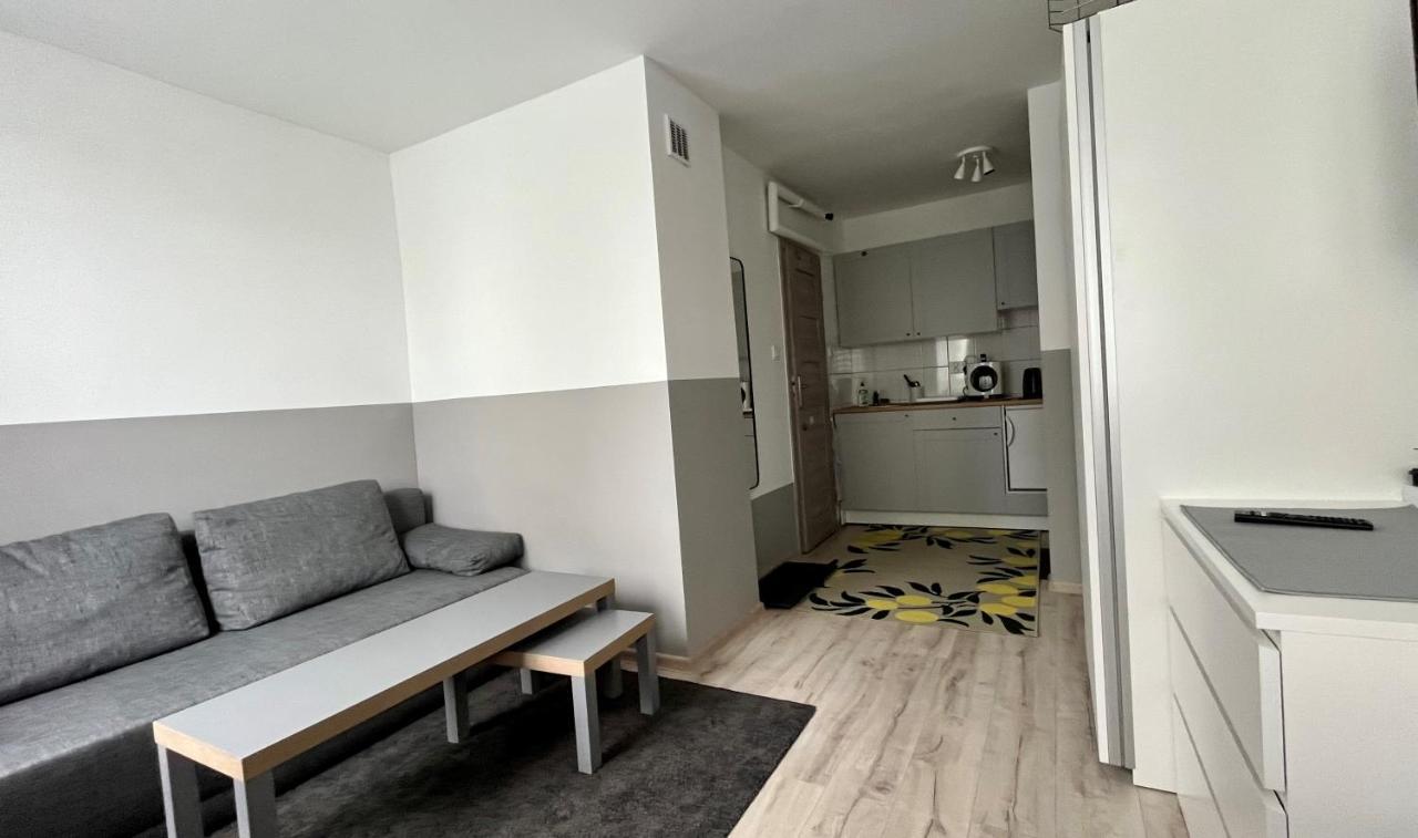 Апартаменты Mlawska 33 Rypin Экстерьер фото